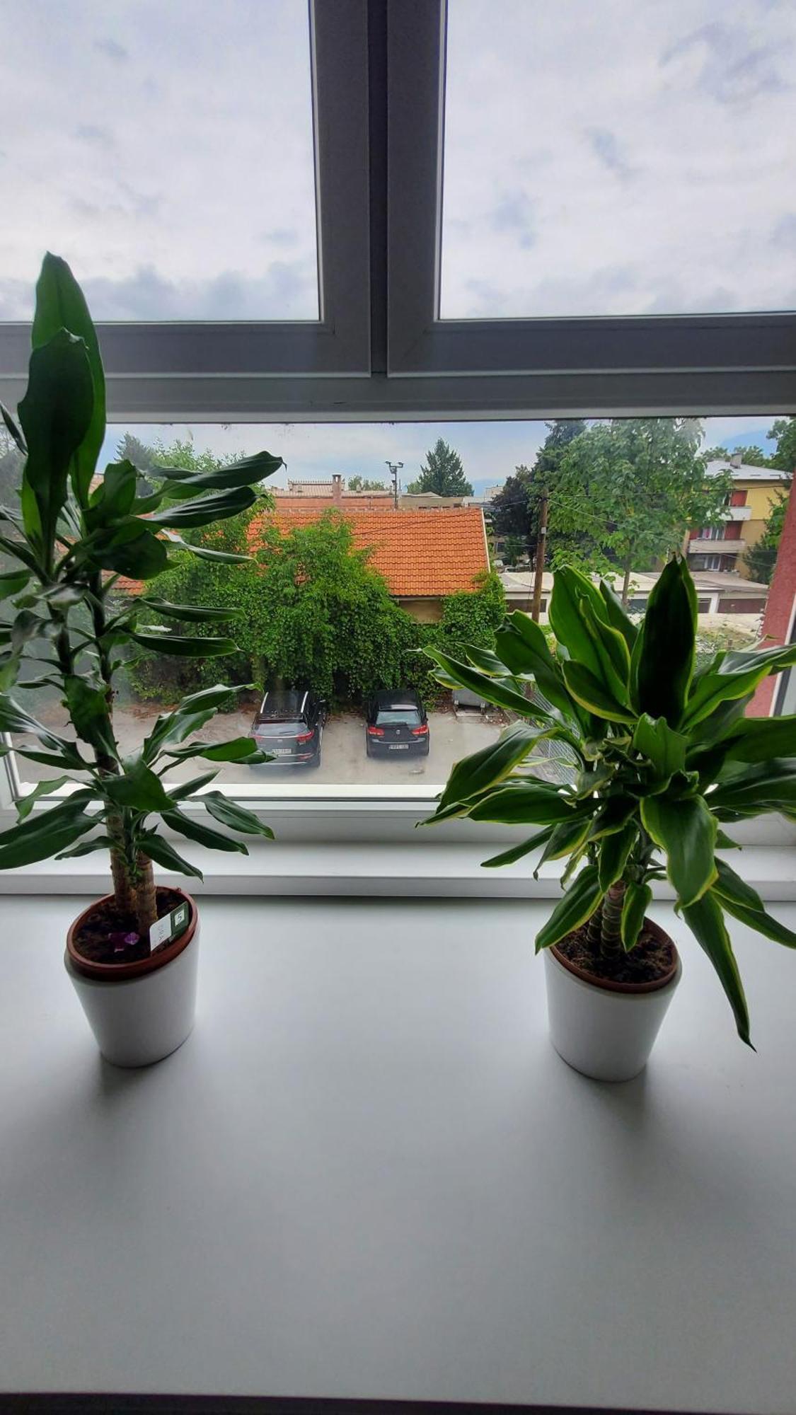 Apartmani Blue I Green Бугойно Экстерьер фото